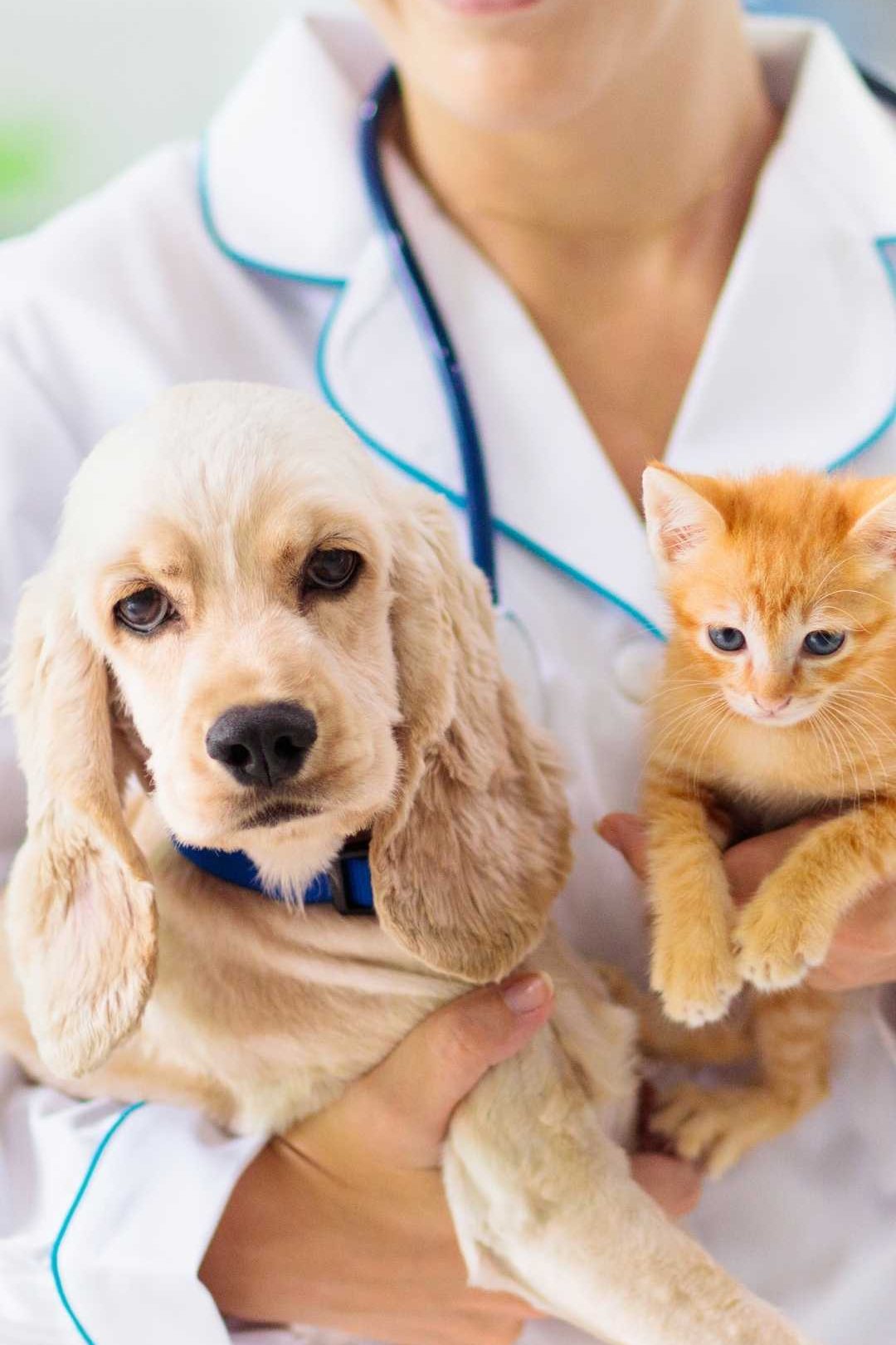 Diseño sin título (4)